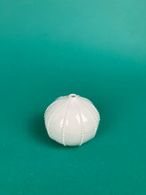 Laden Sie das Bild in den Galerie-Viewer, Vase "Seeigel" weiss