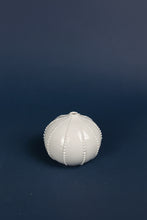 Laden Sie das Bild in den Galerie-Viewer, Vase "Seeigel" weiss