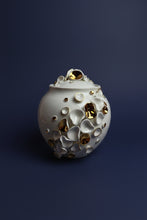 Laden Sie das Bild in den Galerie-Viewer, Dose "Muscheln" gold