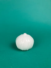 Laden Sie das Bild in den Galerie-Viewer, Vase "Seeigel" weiss