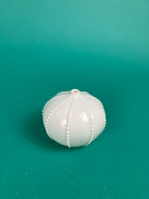 Laden Sie das Bild in den Galerie-Viewer, Vase "Seeigel" weiss