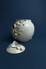 Laden Sie das Bild in den Galerie-Viewer, Dose "Muscheln" gold