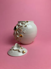 Laden Sie das Bild in den Galerie-Viewer, Dose "Muscheln" gold