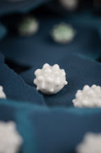 Laden Sie das Bild in den Galerie-Viewer, Ohrringe "Stecker"